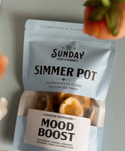 Load image into Gallery viewer, Sunday Seed | Simmer PotPourri
