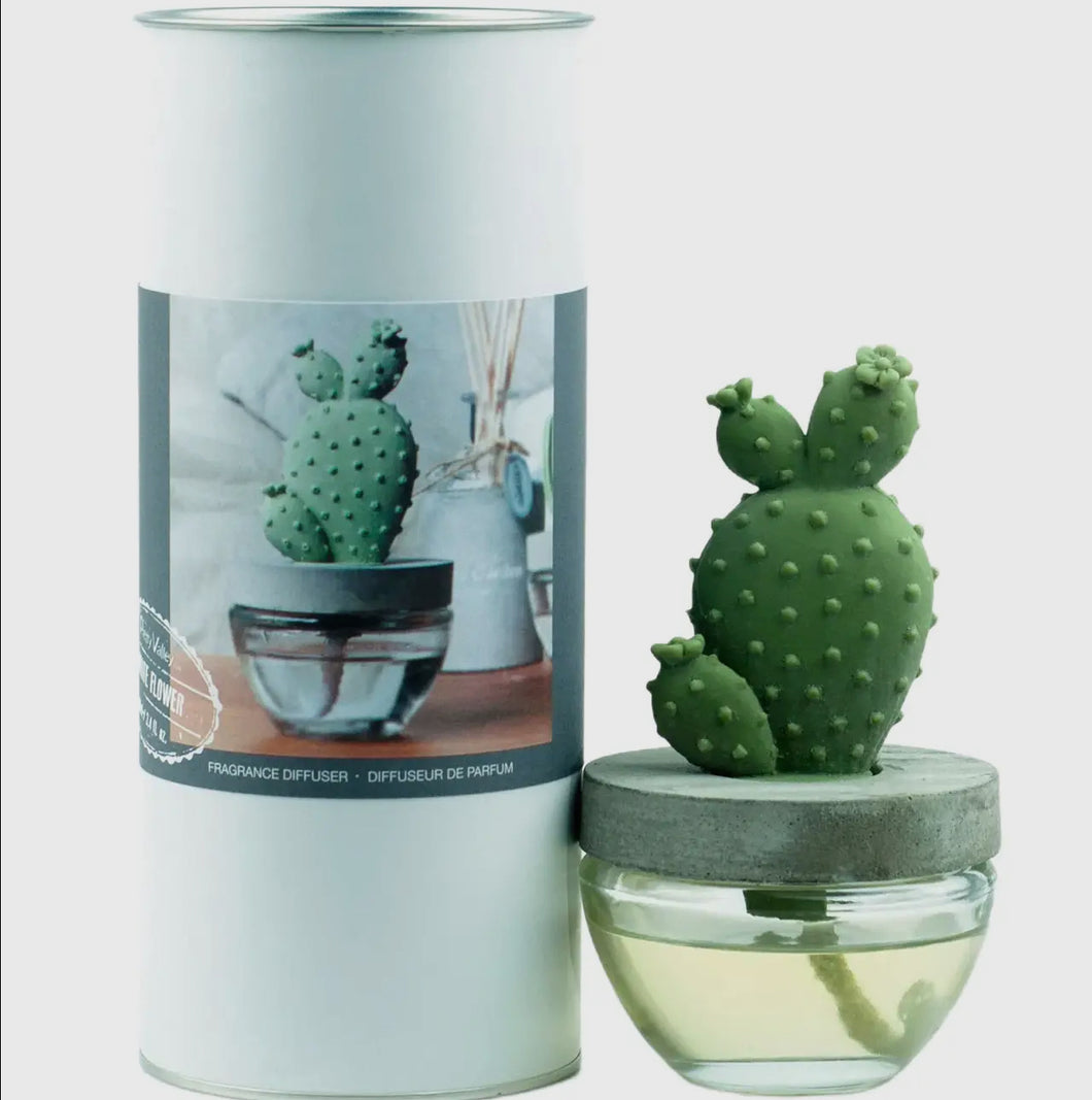 Bunny Ear Cactus Diffuser Gift Set  | 100ML
