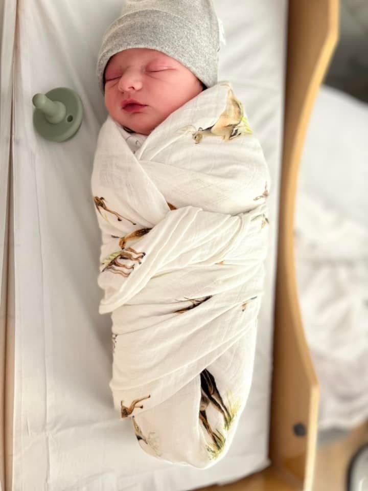 Little Fawn Swaddle