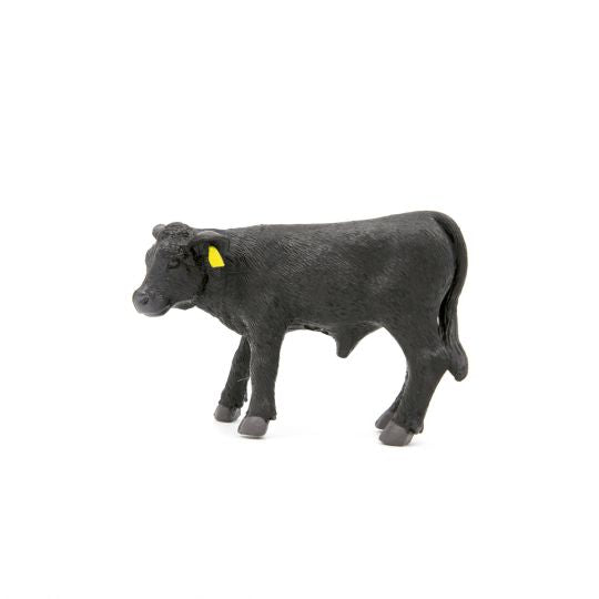 Angus Calf